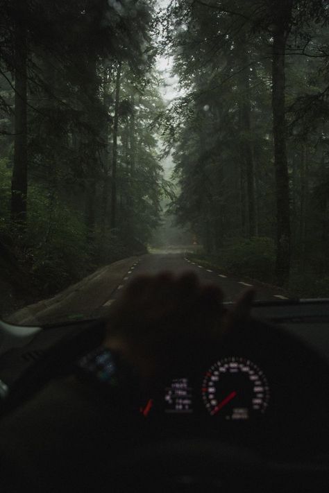 Driving Aesthetic, Dark Naturalism, Dark Green Aesthetic, Dark Paradise, Night Driving, Dark Photography, Night Aesthetic, Nature Aesthetic, Green Aesthetic