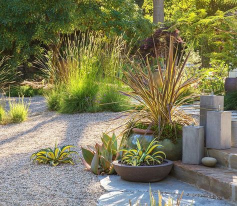 4 Grass Alternatives for Yards with Major Curb Appeal Water Saving Landscape, Gravel Yard, Grass Alternative, Native Grasses, California Backyard, Water Wise Plants, Drought Tolerant Perennials, Lawn Alternatives, Drought Tolerant Garden