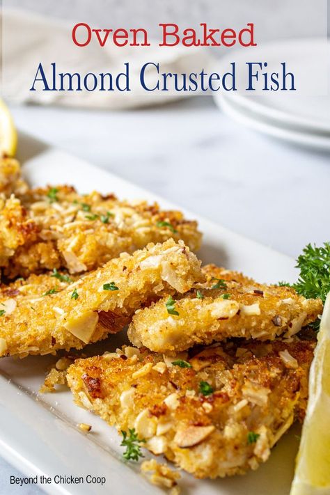 Fish fillets with a golden crust. Crusted Walleye Recipes, Almond Crusted Flounder, Almond Crusted Walleye, Baked Pickerel Recipes, Pike Recipes Fish, Ways To Cook Walleye, Baked Northern Pike Recipes, Baked Grouper Recipes Oven, Baked Walleye Recipes Ovens