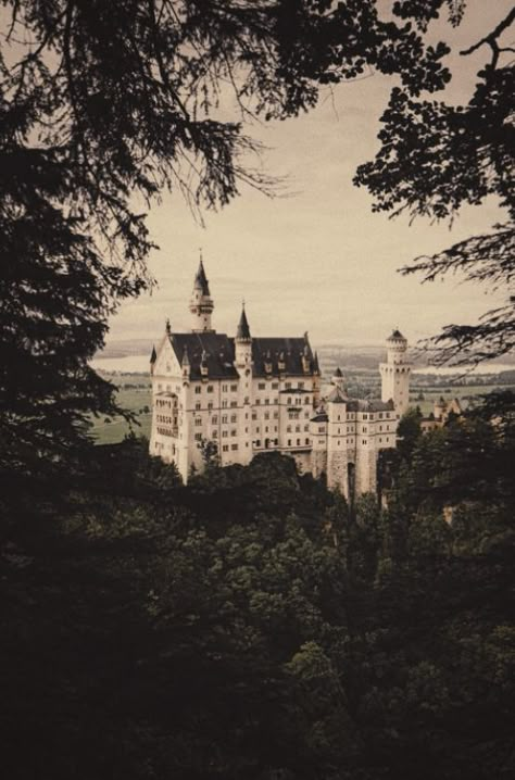 Dark European Aesthetic, Castle Vibes Aesthetic, Naomicore Aesthetic, Castle Vintage Aesthetic, Royal Academia Aesthetic, Dark Royalcore, Green Dark Academia, Gray Castle Aesthetic, Gloomy Castle Aesthetic