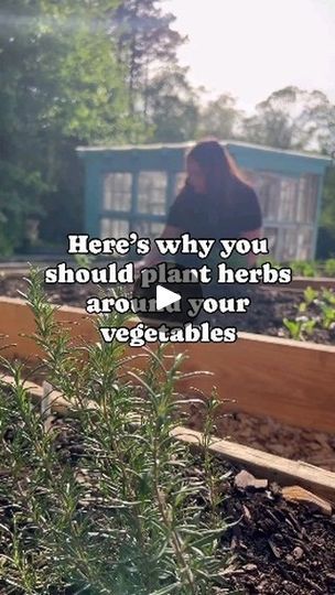 Garden School, Planting Tips, Benefits Of Gardening, Grow Food, Victory Garden, Garden Veggies, Garden Help, Garden Harvest, Veg Garden