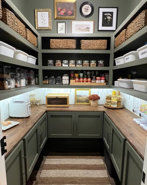 I could live here   Credit @greeneacresfarmhouse Walk In Pantry Ideas Layout With Window, Pantry Colors Walk In, Pantry Layout Walk In, Butlers Pantry Ideas Layout, Pantry Update, Walk In Pantry Ideas, Pantry Lighting, Pantry Closet Design, Pantry Layout