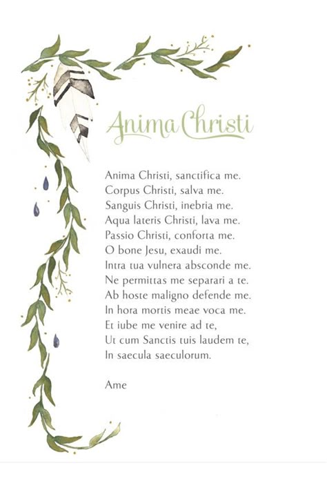 Catholic Art Aesthetic, Prayers In Latin, Latin Prayers, Anima Christi Prayer, Watercolor Vines, Latin Prayers Catholic, Anima Christi, Jesus Father, Anima Christi Prayer Catholic