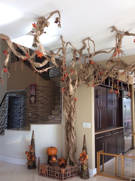 Indoor Pumpkin Patch Ideas, Maze Decoration Ideas, Office Pumpkin Patch Decor, Diy Cornstalk Decorations, Pumpkin Patch Decorating Ideas Indoor, Pumpkin Patch Decorating Ideas, Indoor Pumpkin Patch, Indoor Fall Decorations, Fall Office Decorations