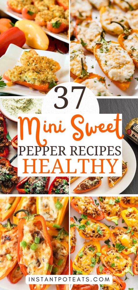 These versatile little gems can be used in a variety of dishes, from appetizers to sides, making them a must-try for any food lover! #CookingWithPeppers #MiniSweetPeppers #Yummy" Snacking Peppers Recipe, Chicken Stuffed Mini Sweet Peppers, Mini Sweet Peppers Snack, Mini Sweet Pepper Recipes Healthy, Small Peppers Recipes, Mini Pepper Recipes Healthy, Cold Stuffed Mini Peppers, Recipes With Sweet Peppers, Mini Bell Pepper Recipes