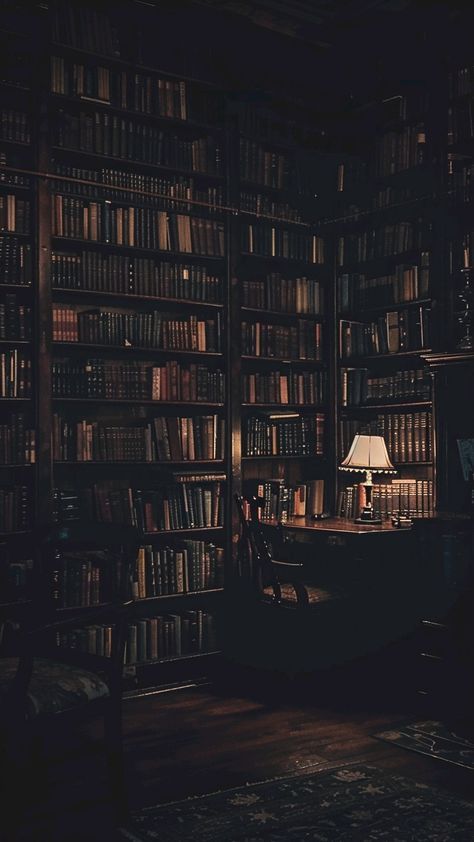 Book Lovers Profile Pics, Old Books Aesthetic Wallpaper, Book Vibes Aesthetic Dark, Creepy Library Aesthetic, Dark Writer Aesthetic, Dark Library Aesthetic Wallpaper, Library Dark Aesthetic, Dark Academia Library Wallpaper, Old Library Aesthetic Dark