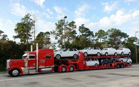 Car hauler Car Hauler Truck, Semi Truck Parts, Bus Advertising, Car Hauler Trailer, Car Transporter, Semi Trailer Truck, Car Hauler, Hot Rods Cars Muscle, Heavy Construction Equipment