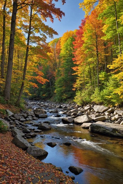 Autumn Glory: Capturing the Best Fall Foliage Spots in Upstate New York Roscoe New York, The Adirondacks New York, Fall Leaf Aesthetic, Upstate New York Fall, Upstate New York Travel, Ithaca Falls, Candlewood Lake, Watkins Glen State Park, Ithaca New York