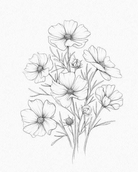 Closed Flower Drawing, Cosmo Flower Drawing, Cosmo Tattoo Flower, Cosmos Flowers Drawing, Cosmo Flower Tattoo, Cosmos Drawing, Project Sketchbook, Drawings Of Flowers, Cosmos Tattoo