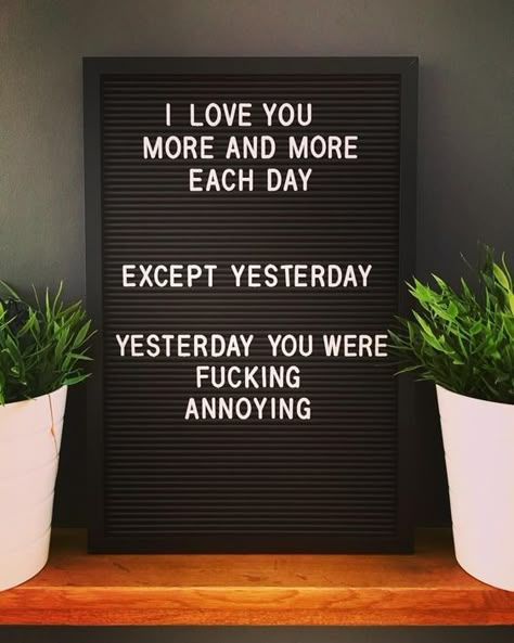 Letterboard Signs, Letter Board Quotes, Wedding Quotes Funny, Message Board Quotes, Felt Letter Board, Word Board, Funny Letters, Board Quotes, Felt Letters