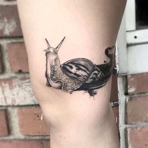 Snail tattoo by katytheladyy at #built4speedtattoo Snail Trail Tattoo, Realistic Snail Tattoo, Snail Tattoo, Family Tattoos, Tattoo Sketches, Tattoos And Piercings, Infinity Tattoo, I Tattoo, Light Bulbs