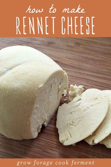 This simple homemade rennet cheese recipe is the perfect introduction to cheese making! Rennet cheese can be cultured with either milk kefir or yogurt, so you get all of the probiotic benefits they offer. Rennet Cheese, Easy Homemade Cheese, Homemade Cheeses, Cheese Recipes Homemade, Cheese Making Recipes, Goat Milk Recipes, Making Cheese, Diy Cheese, Probiotic Benefits