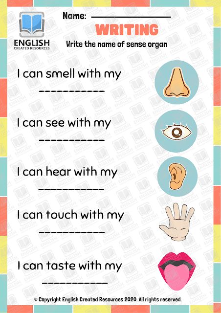 The Five Senses Worksheets 5 Senses Worksheet, Five Senses Worksheet, Nursery Worksheets, Senses Preschool, English Worksheets For Kindergarten, Grammar For Kids, Kindergarten Reading Activities, The Five Senses, Kindergarten Reading Worksheets