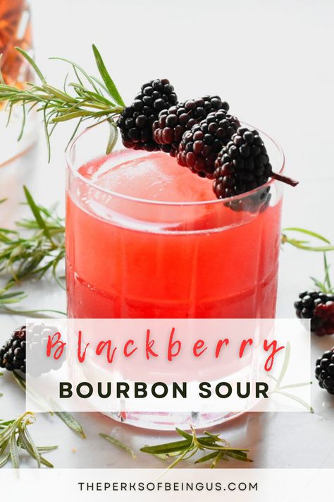 A blackberry bourbon sour is the perfect cocktail to get any party started!  The perfectly ripe blackberries are blended with citrus, and a healthy helping of bourbon! A few dashes of bitters, and you are ready to pour! Blackberry Bourbon, Cocktails To Make At Home, Bourbon Sour, Blended Cocktail, Cocktails Easy, Bourbon Cocktail, Best Christmas Recipes, Best Cocktail Recipes, Bourbon Cocktails