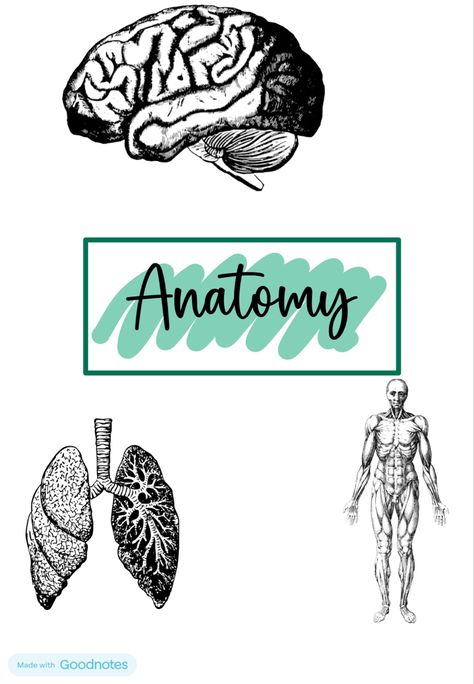 #Aesthetic # frontpage #anatomy #study #medschool Anatomy Textbook Aesthetic, Anatomy And Physiology Aesthetic Cover, Anatomy Binder Cover Printable, Human Physiology Aesthetic, Anatomy Cover Page Design, Anatomy And Physiology Notebook Cover, Anatomy And Physiology Cover Page, Anatomy Cover Page, Anatomy Binder Cover