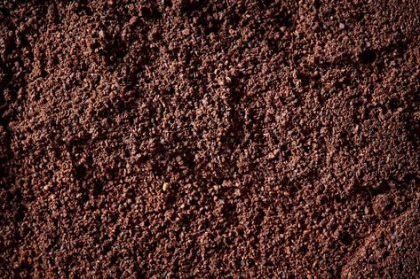 Loam Soil, Peat Soil, Acid Loving Plants, Edible Seeds, Growing Gardens, Gardening Trends, Spring Flowering Bulbs, Soil Testing, Organic Soil