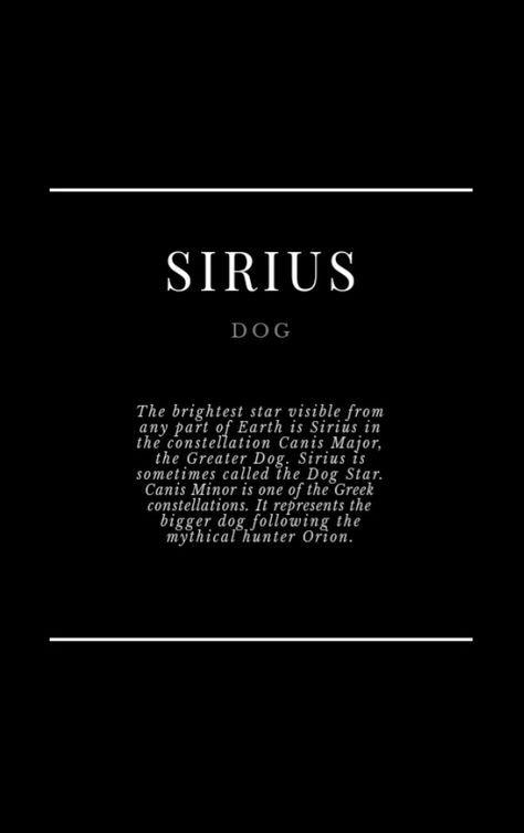 Star Sirius, The Dog Star, Orion Constellation, Romanticizing Life, Cute Names, Marauders Era, Sirius Black, Space And Astronomy, The Marauders