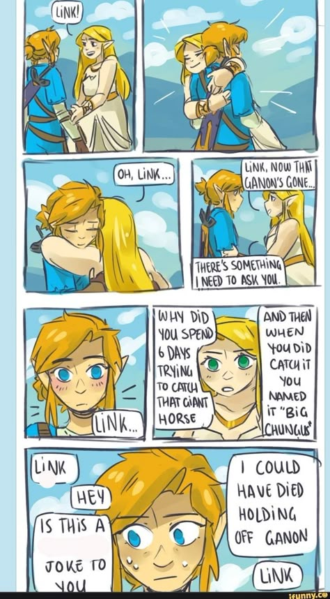 Link Botw, Legend Of Zelda Memes, Botw Zelda, Zelda Funny, Link Zelda, Zelda Art, Legend Of Zelda Breath, Memes Br, Zelda Breath