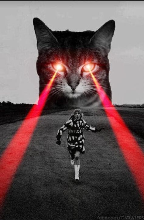 Photography Surrealism, Photo Surrealism, Interesting Pictures, Strange Images, Absurdist Art, Surreal Photoshop, Retro Futurism Art, Cat Movie, Futurism Art