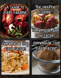 Feeding your pooch Crockpot Fish, Dog Food Recipes Vet Approved, Homemade Dog Food Recipes Vet Approved, Homemade Dog Food Crockpot, Homemade Dog Food Vet Approved, Dog Food Recipes Crockpot, Homemade Dog Cookies, Chicken Dog, Doggy Treats