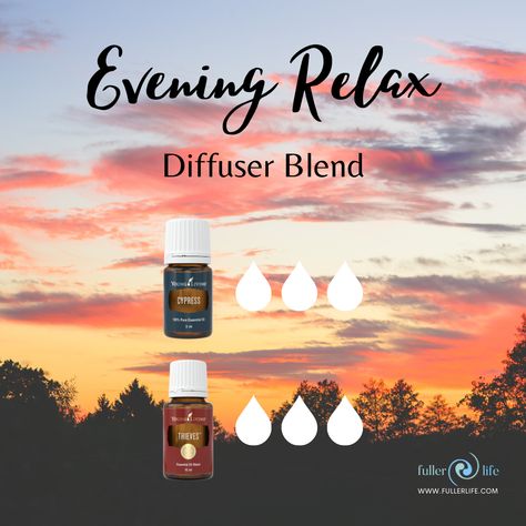 Relaxing Evening Diffuser Blend, Evening Essential Oil Diffuser Blends, Evening Diffuser Blends, Young Living Cypress, Young Living Diffuser Recipes, Diffuser Blends Young Living, Diffuser Scents, Eo Blends, Young Living Diffuser