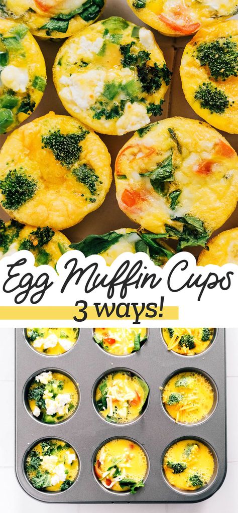 Egg Cups Breakfast Healthy, Healthy Egg Muffins, Veggie Egg Muffins, Veggie Egg Cups, Easy Egg Muffins, Egg Muffins Healthy, Gut Recipes, Baked Egg Cups, Egg Muffin Cups