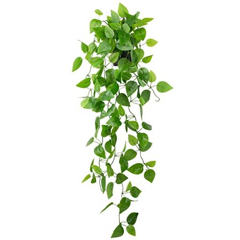 Bookshelves Hanging, Potted Ivy, Hanging Potted Plants, Fake Hanging Plants, Ivy Wall, Balcony Decoration, Artificial Hanging Plants, Artificial Leaves, Greenery Decor