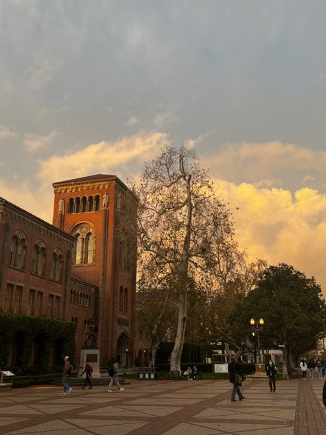 Usc Campus Aesthetic, Usc Aesthetic Campus, University Of Southern California Aesthetic, Usc Aesthetic, Collage Campus, College Manifestations, Collage Sunset, Usc Campus, Usc College