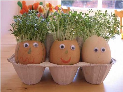 Gardening Ideas For Your Classroom | Teachers Lounge Cress Heads, Decorating Crafts, Rabbit Crafts, Easter Decorating, Crafts Easter, Spring Crafts For Kids, Easter Eggs Diy, Easter Decorations Dollar Store, Easter Decorations Vintage