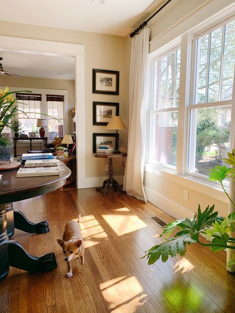 Old Bungalow Homes Interior, Small 1920s Living Room, Chicago Bungalow Living Room, Small Bungalow House Interior Design, 1940s Bungalow Living Room, Art Deco Bungalow, Midcentury Craftsman Interior, Small Dining Room With Window, Craftsman Style House Interior