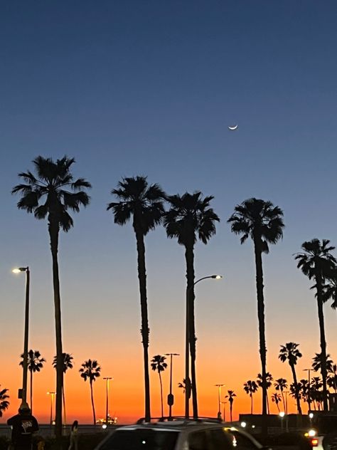 Disneyland Ca, Redondo Beach California, Beach Sunset Wallpaper, California Sunset, Hollywood Boulevard, Life Aesthetic, Redondo Beach, Sunset Wallpaper, Beach California