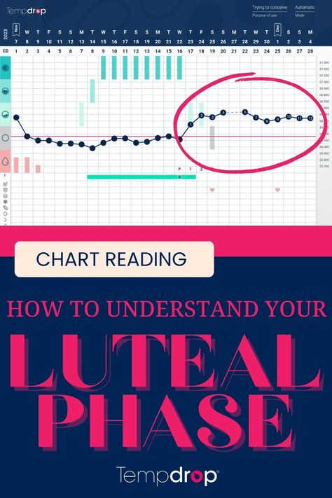 🔍  Navigating the Luteal Phase with BBT Charting 🔄  Welcome to the Luteal Phase, where your body prepares for a possible pregnancy.   It's this phase when progesterone is released, which is essential to getting pregnant and carrying a healthy pregnancy 🤰🏻  Swipe to understand the signs of this phase on your BBT chart and what it means for your cycle. Teas For Luteal Phase, Bbt Chart, Fertility Awareness Method, Luteal Phase, Natural Family Planning, Weird Names, Fertility Awareness, Menstrual Period, Medical Terminology