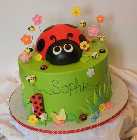 Lady Bug Bug Birthday Cakes, Ladybird Cake, Ladybug Cakes, Bug Cake, Ladybug Cake, Ladybug Birthday Party, Birthday Cake With Photo, Green Cake, Ladybug Birthday