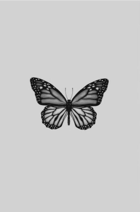 Black Grey Butterfly Tattoo, Gray Butterfly Aesthetic, Butterfly Pictures Black And White, Black And Grey Monarch Butterfly Tattoo, Black And White Eyes Aesthetic, Black And White Monarch Butterfly Tattoo, Grey Butterfly Aesthetic, Black And Gray Butterfly Tattoo, Grey Butterfly Wallpaper