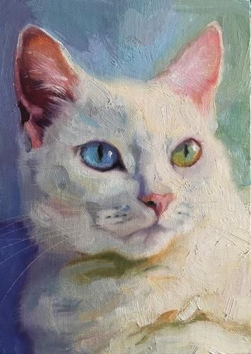 Fluffy Ragdoll Cat, Cat Portrait Painting, Watercolor Cats, Cat Art Illustration, Cat Paintings, Cat Artwork, Cats In Art, Watercolor Cat, Animal Portraits