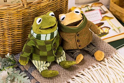 Frog And Toad Plushies, Frog And Toad Plush, Frog And Toad Stuffed Animals, Mr Frog And Mr Toad, Toad And Frog, Frog And Toad Are Friends, Frog Plushie, Fall Love, Dream Baby