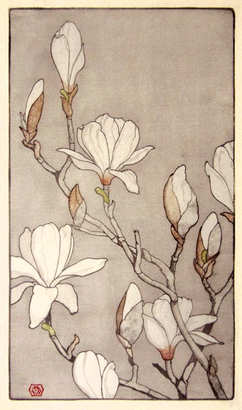 Fleurs Art Nouveau, 심플한 그림, Soyut Sanat Tabloları, 수채화 그림, Botanical Drawings, Arte Floral, Silk Painting, A Drawing, Botanical Illustration