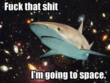 Space shark loves us all. Shark Pictures, Cute Shark, Silly Images, Shark Week, Silly Animals, Marine Animals, Ocean Creatures, Ocean Animals, Really Funny Pictures