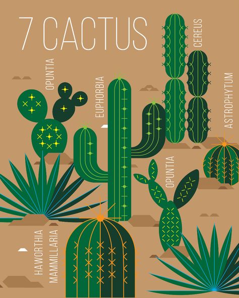 7 Cactus Vector Illustration on Behance Arizona Decor, Cactus Png, Cactus Vector, Watercolor Scenery, Christmas Advent Calendar Diy, Cactus Illustration, Diy Advent Calendar, Southwestern Design, Cactus Art