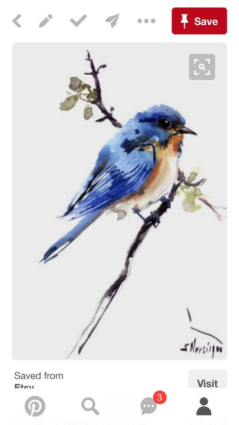 Blue Bird Watercolor, 2nd Grade Reading Comprehension, Bird Watercolor Paintings, Bird Watercolor, Watercolor Bird, Song Bird, Blue Jay, Beautiful Blue, Blue Bird