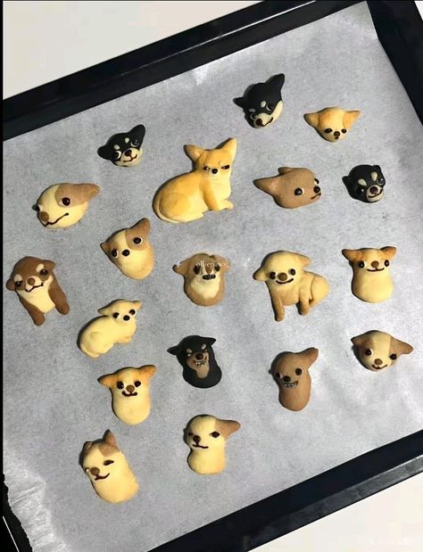 Kawaii Cooking, Cute Baking, Cute Snacks, Dog Cookies, Cute Desserts, Cute Little Things, Pretty Cakes, Food Obsession, Cute Cakes