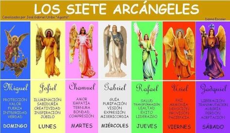 Guardian Angel Quotes, Angel Protector, Tarot Significado, Spiritual Awakening Signs, Angel Quotes, Dress Card, Angel Guidance, Spirituality Posters, Happy Hippie