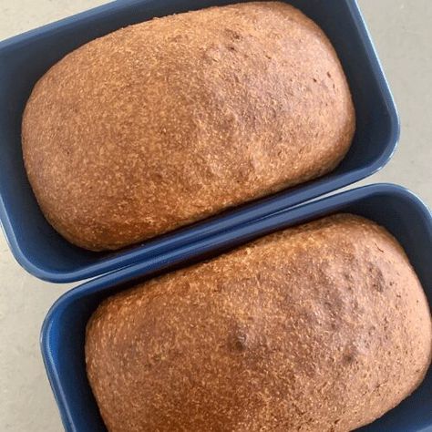 Whole Wheat Sourdough Discard Sandwich Loaf Recipe - The Pantry Mama Sandwich Loaf Recipe, Sourdough Discard Sandwich Bread, Discard Sandwich Bread, The Pantry Mama, Pantry Mama, Sourdough Discard Recipes, Whole Wheat Sourdough, Sourdough Bread Sandwiches, Sandwich Loaf