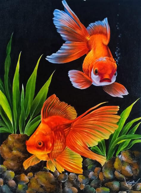 Acrylic Paint Tutorial, Aquarium Drawing, Gold Fish Painting, Underwater Painting, Koi Art, Modern Art Canvas Painting, Coaster Art, Kids Watercolor, Art Drawings Sketches Pencil