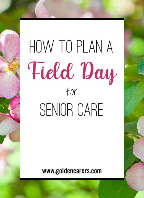 How to Plan a Field Day for Senior Care Field Day Events, Nursing Home Activities, Elderly Activities, Activity Director, Senior Care, Field Day, School Children, Free Activities, Home Activities