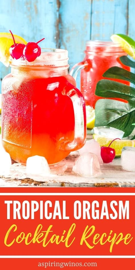 Tropical Orgasm Cocktail | Tropical Cocktails | Tropical Orgasm Cocktail Recipe | Tropical Recipes | Rum Cocktails #TropicalOrgasmCocktails #TropicalCocktails #RumCocktails #CocktailRecipes #TropicalDrink Best Tropical Cocktails, Tropical Storm Cocktail, Crush Drink Recipes, Tropical Mixed Drinks Alcoholic, Tropical Red Bull Cocktails, Hawaiian Cocktails For A Crowd, Fruity Mixed Drinks Recipes, Malibu Rum Shots Recipes, Jose Cuervo Drinks Recipes