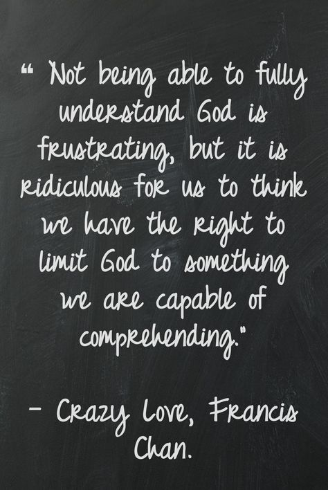 Crazy love - yes. I'd like to add, if we could truly comprehend God he wouldn't be worthy of our devotion. Francis Chan Quotes, Chan Quotes, Francis Chan, Good Quotes, Fina Ord, Soli Deo Gloria, This Is Your Life, The Perfect Guy, Crazy Love