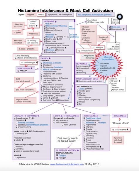 Histamine Intolerance Diet, Histamine Intolerance Symptoms, Mast Cell Activation, Histamine Intolerance, Mast Cell Activation Syndrome, Low Histamine Diet, Mast Cell, Special Diet, Ehlers Danlos Syndrome