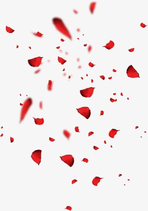 Rose Petals Background, Rose Falling, Falling Roses, Rose Overlay, Rose Petals Falling, Petals Falling, Valentines Day Border, Red Clipart, Falling Petals