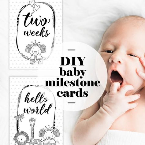 Digital baby milestone cards by Tazi Graphics are great to use as flatlay cards or photo props. Download, print and place these cute milestone cards next to your baby and snap a picture to capture the memory forever. #babymilestones #blackandwhite #newbaby #printathome #milestonecards #babygifts #babygoals #digitaldownload #tazigraphics #designinspiration #originalart #photoprops #babymoments #babymomentos #diybabyshowergift Milestones Quotes, Baby Feeding Timeline, Baby Milestone Chart, Milestone Chart, Baby Development Activities, Baby Feeding Chart, Baby Milestones Pictures, Baby Schedule, Milestone Pictures